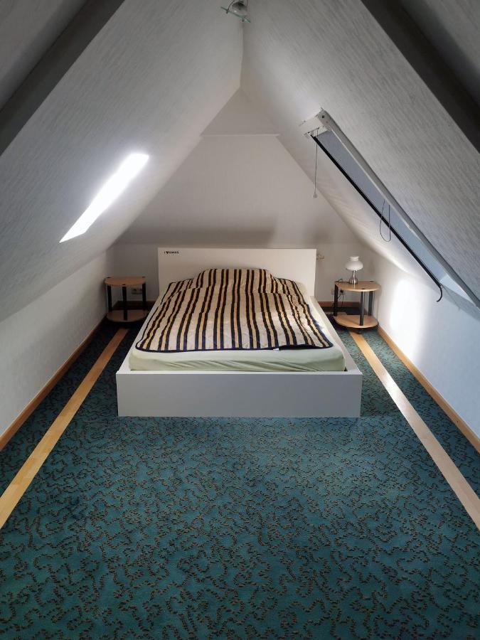 Apartment In Villa Rochlitz Eksteriør billede