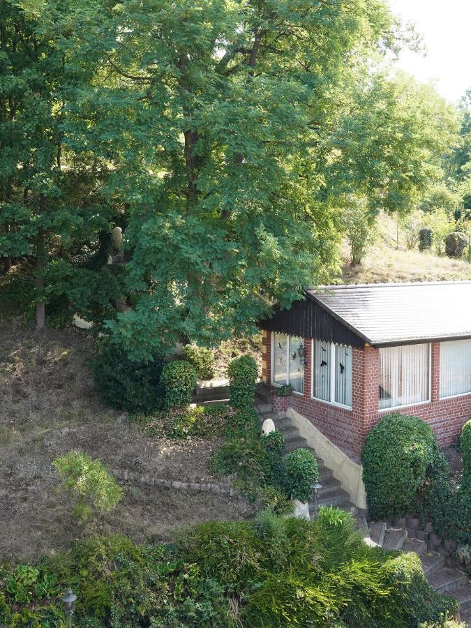 Apartment In Villa Rochlitz Eksteriør billede