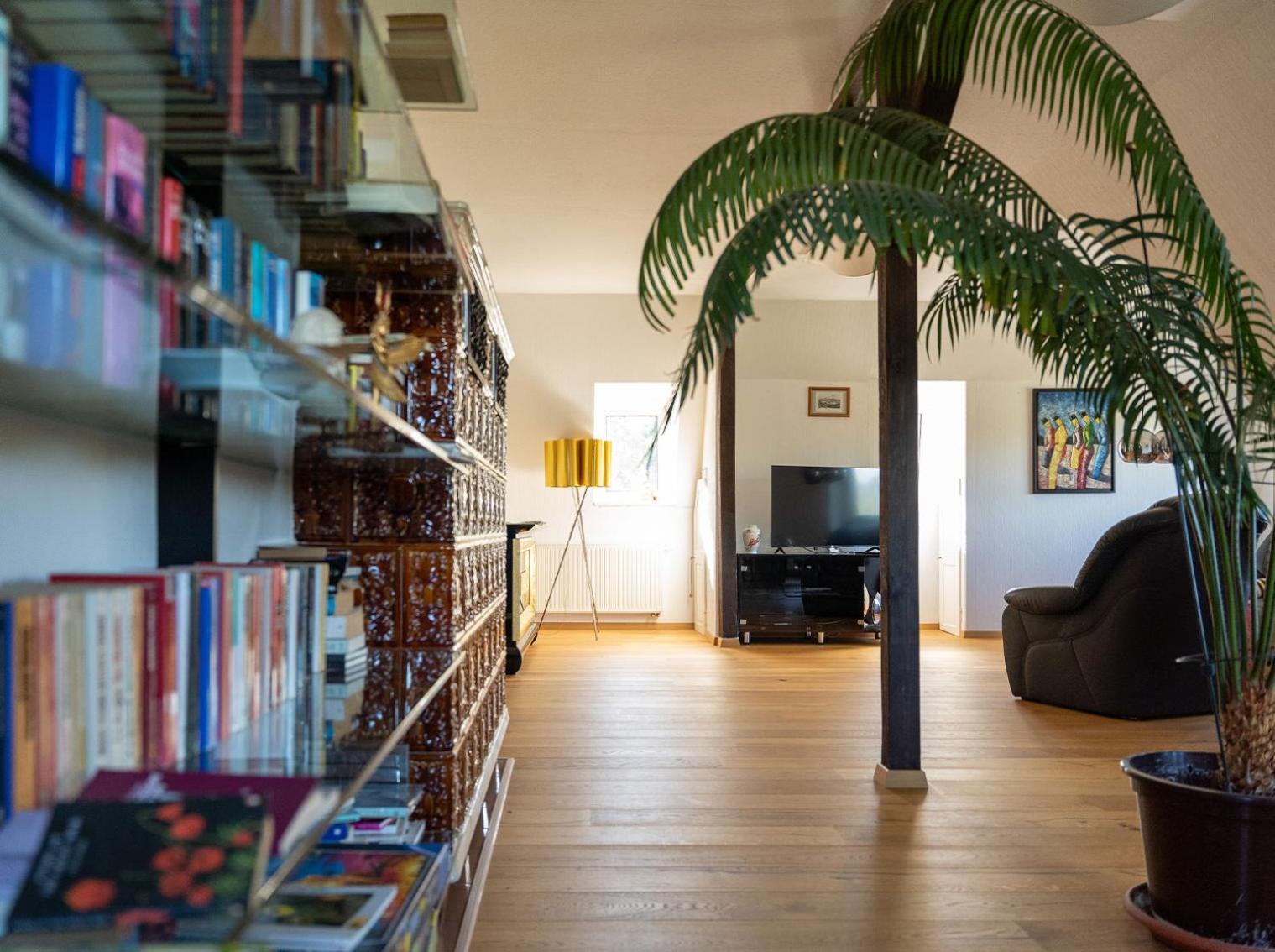 Apartment In Villa Rochlitz Eksteriør billede